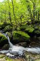 2017_09_24_Gorges de la Canche (0002)